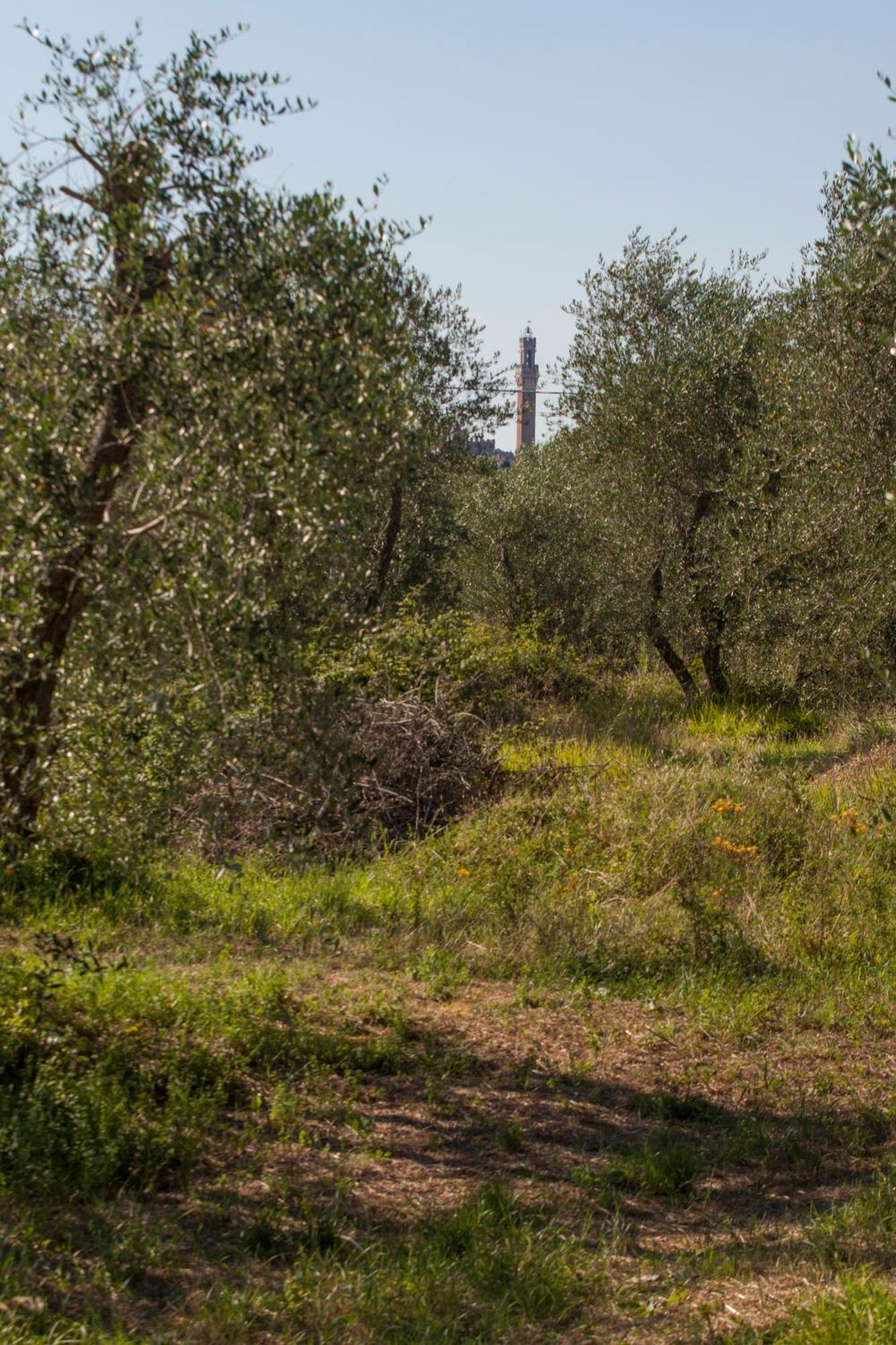 Podere Piazza Casa Dell'arcivescovo *